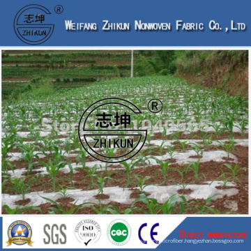 PP Nonwoven Fabric with High Quality Using in Agriculture